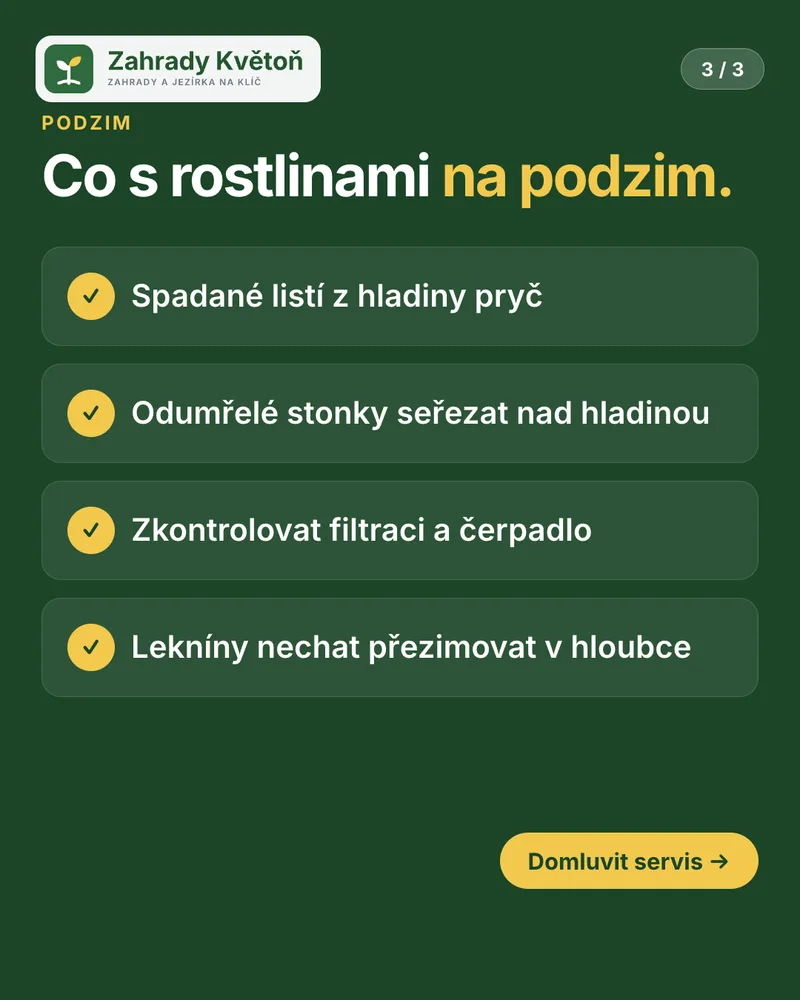 Karusel 3/3: Co s rostlinami na podzim